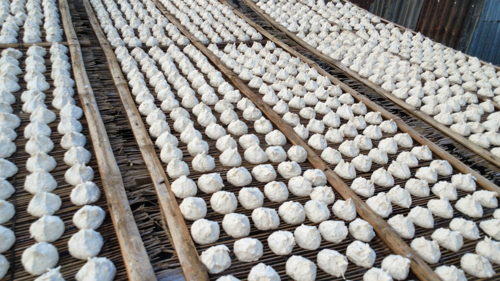 Kumro Bori Shaheen (11)