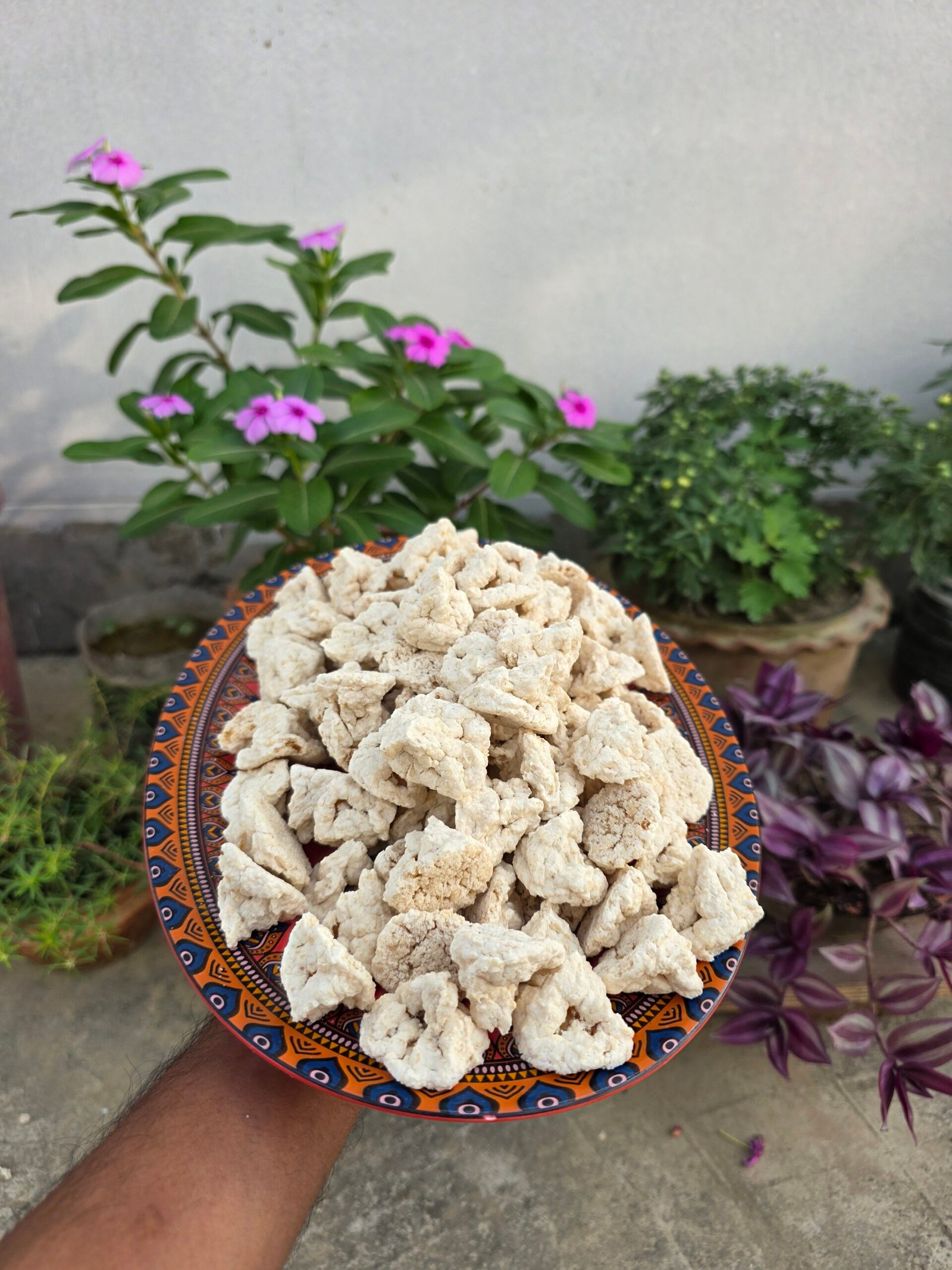 Kumro Bori Shaheen (3)